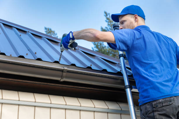 Best Solar Panel Roofing Installation  in USA